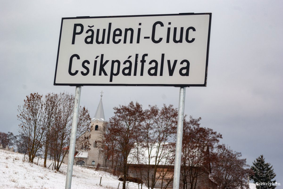 •  Fotó: Gábos Albin