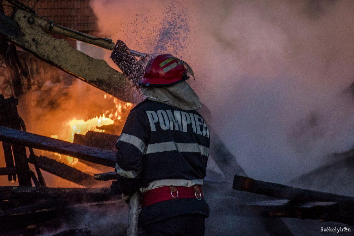 Képünk illusztráció •  Fotó: Pinti Attila