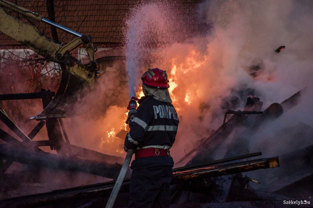 Képünk illusztráció •  Fotó: Pinti Attila