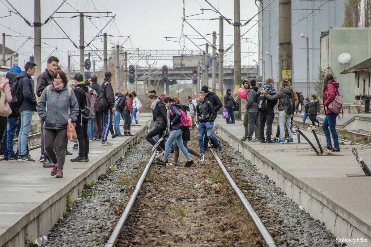 •  Fotó: Pinti Attila