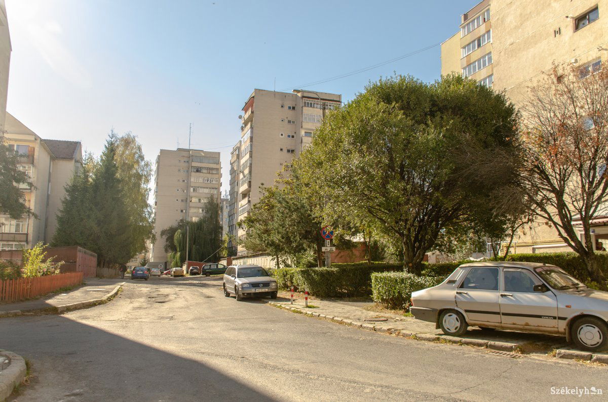Rendezésre várnak a Pacsirta sétányon. Még egy telet kell kibírni •  Fotó: Gecse Noémi