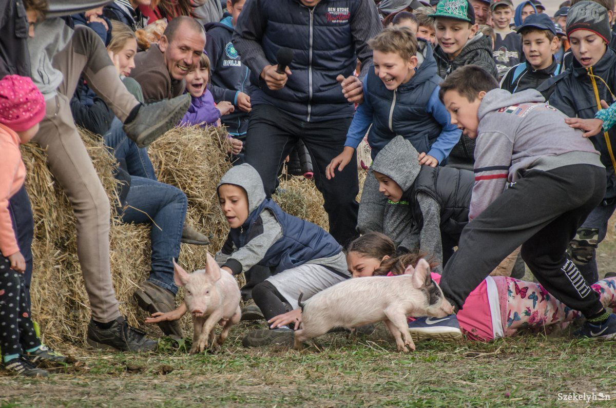 •  Fotó: Pinti Attila