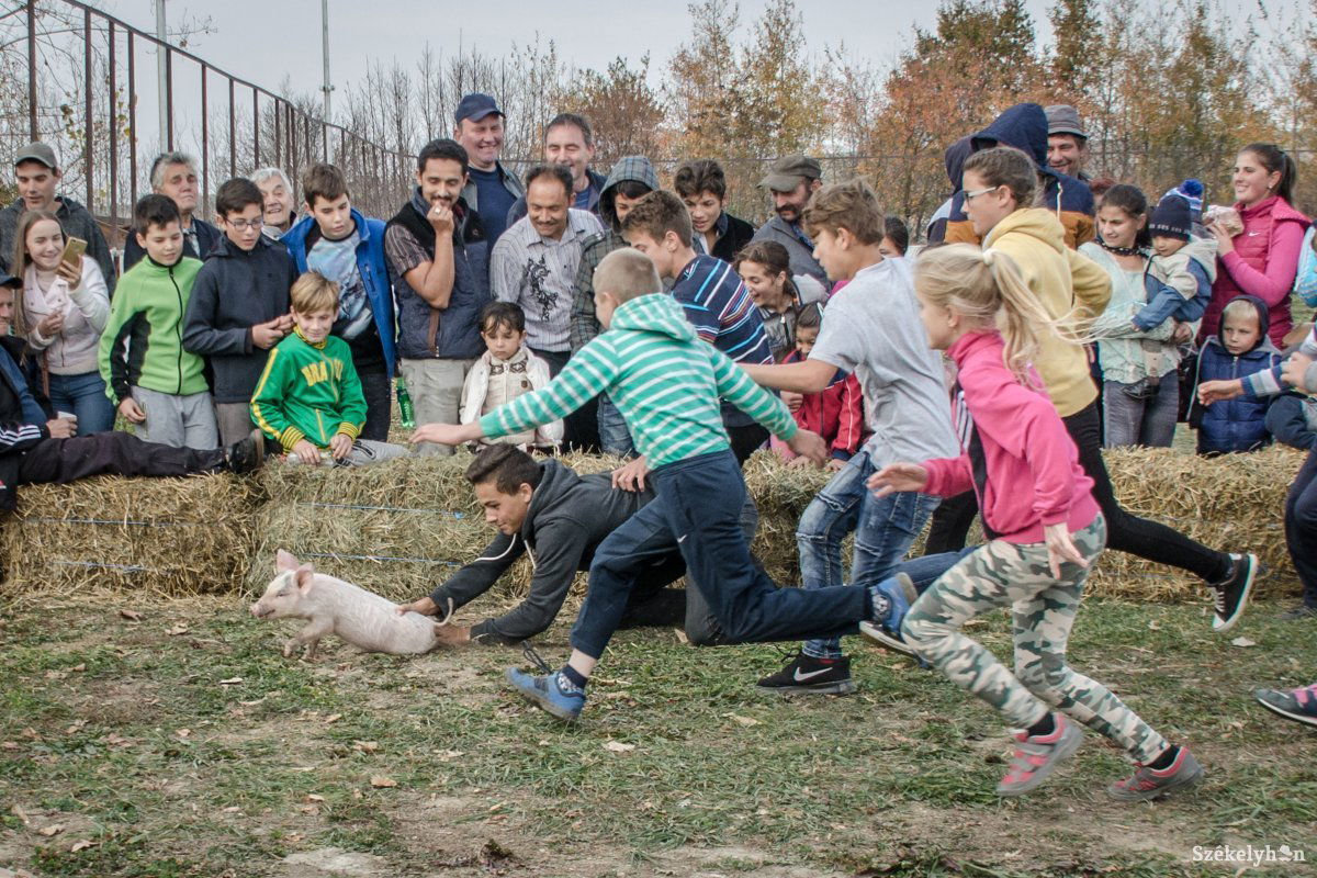 •  Fotó: Pinti Attila