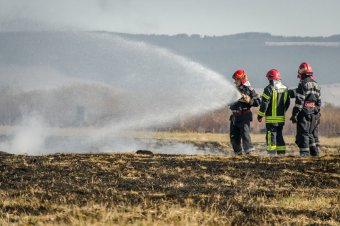 Kigyulladt egy kombájn és a búzatábla a Maros megyében, a közeli erdőt veszélyeztetik a lángok