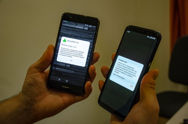 Az idén kiküldött Ro-Alert üzenetek kétharmada medveveszélyre figyelmeztetett