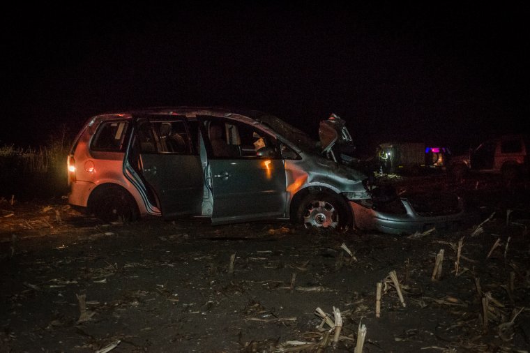 Szarvasbika ugrott az autó elé, felborult a jármű