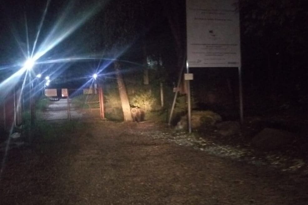 •  Fotó: Hargita Megyei Csendőr-felügyelőség