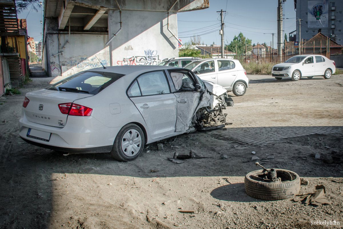 •  Fotó: Pinti Attila