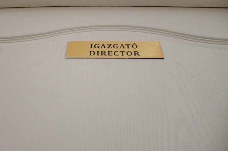 Az ideiglenes iskolaigazgatót az illető intézmény vezetőtanácsa nevezi ki a parlament döntése szerint