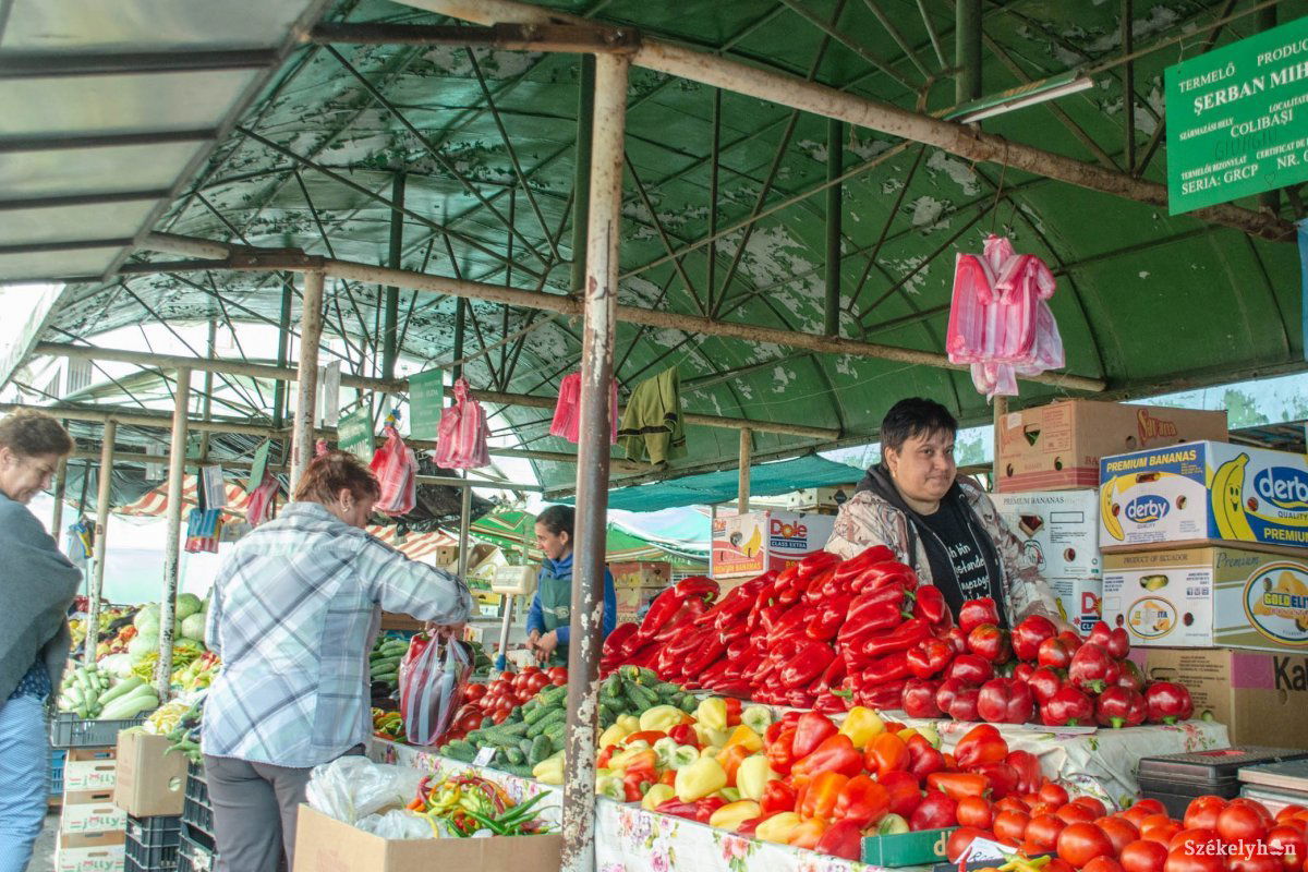 • Fotó: Gecse Noémi