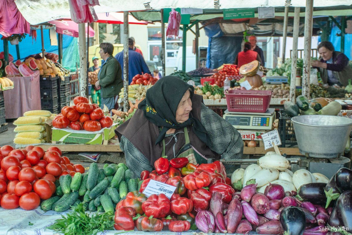 &bullet;  Fotó: Gecse Noémi