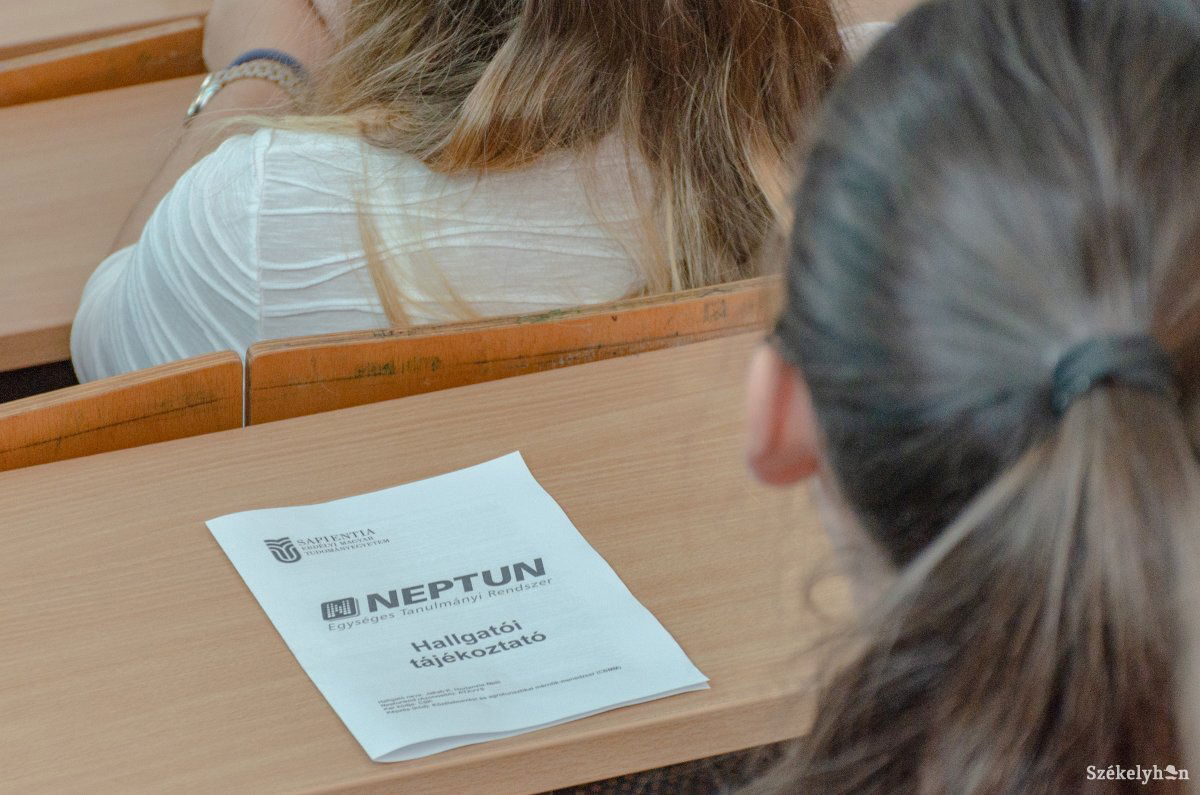 Képünk illusztráció •  Fotó: Gecse Noémi