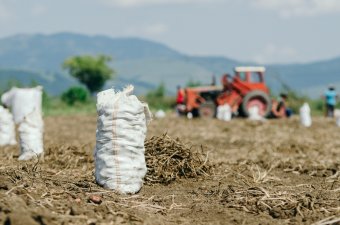 Ritkán büntettek, inkább figyelmeztettek a munkaügyi ellenőrök