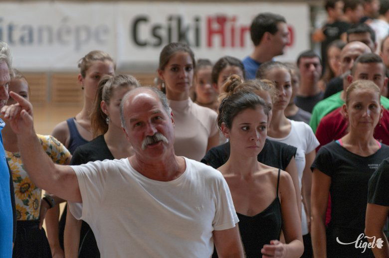 Berecz András: kibúvik belőlem a bukfencező bolond