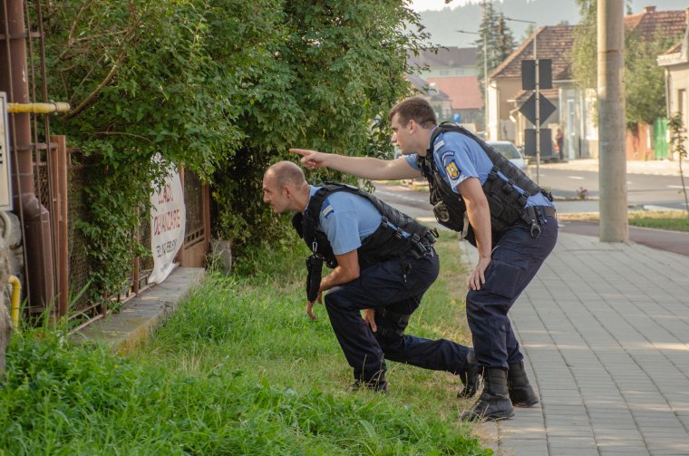Hajtóvadászat folyik a megsebesült bánsági rendőrgyilkos után, akinél fegyver van
