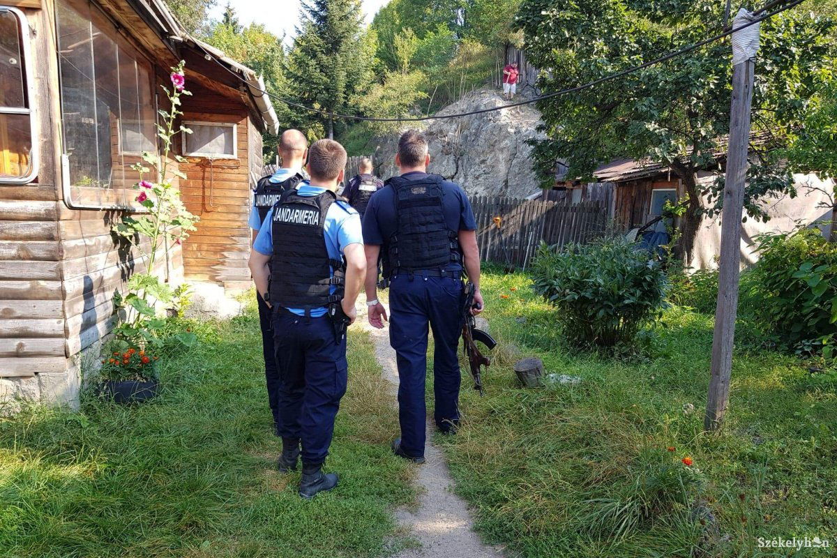 Készenlétben a hatóságiak. Jókora riadalmat okozott Csíkban a városban portyázó medve •  Fotó: Székelyhon