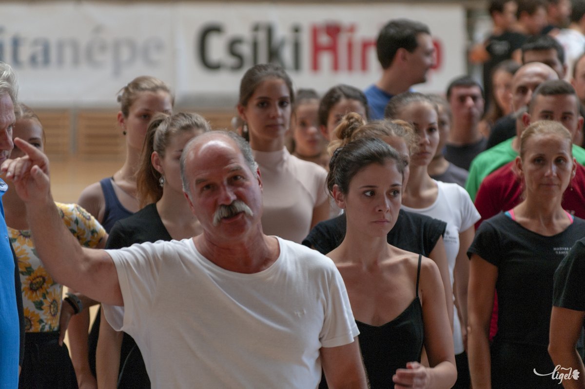 Berecz Andrásból egy idő után kibúvik a bukfenmcező bolond •  Fotó: Gábos Albin