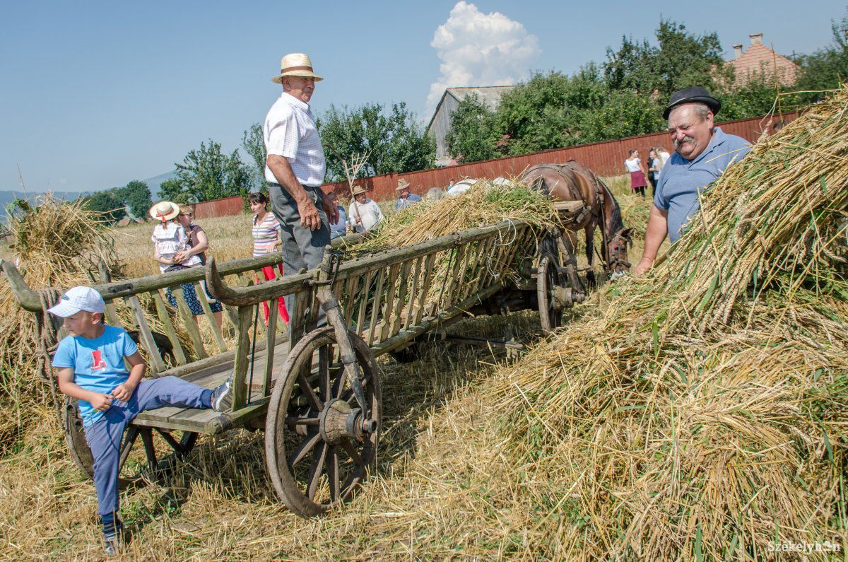 &bullet;  Fotó: Pinti Attila