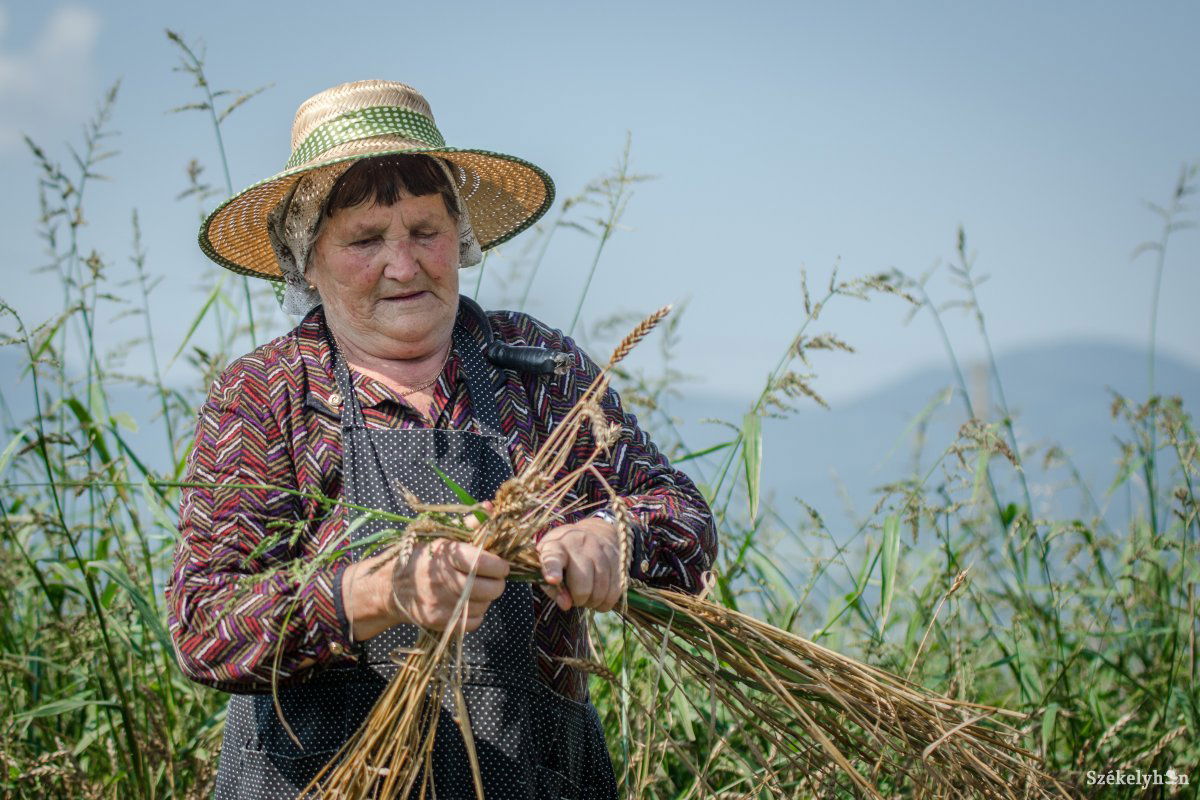 &bullet;  Fotó: Pinti Attila
