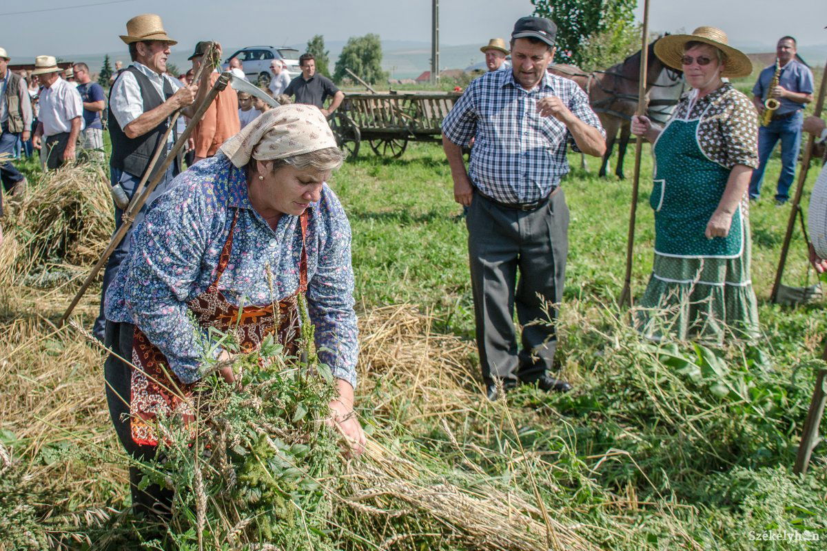 &bullet;  Fotó: Pinti Attila