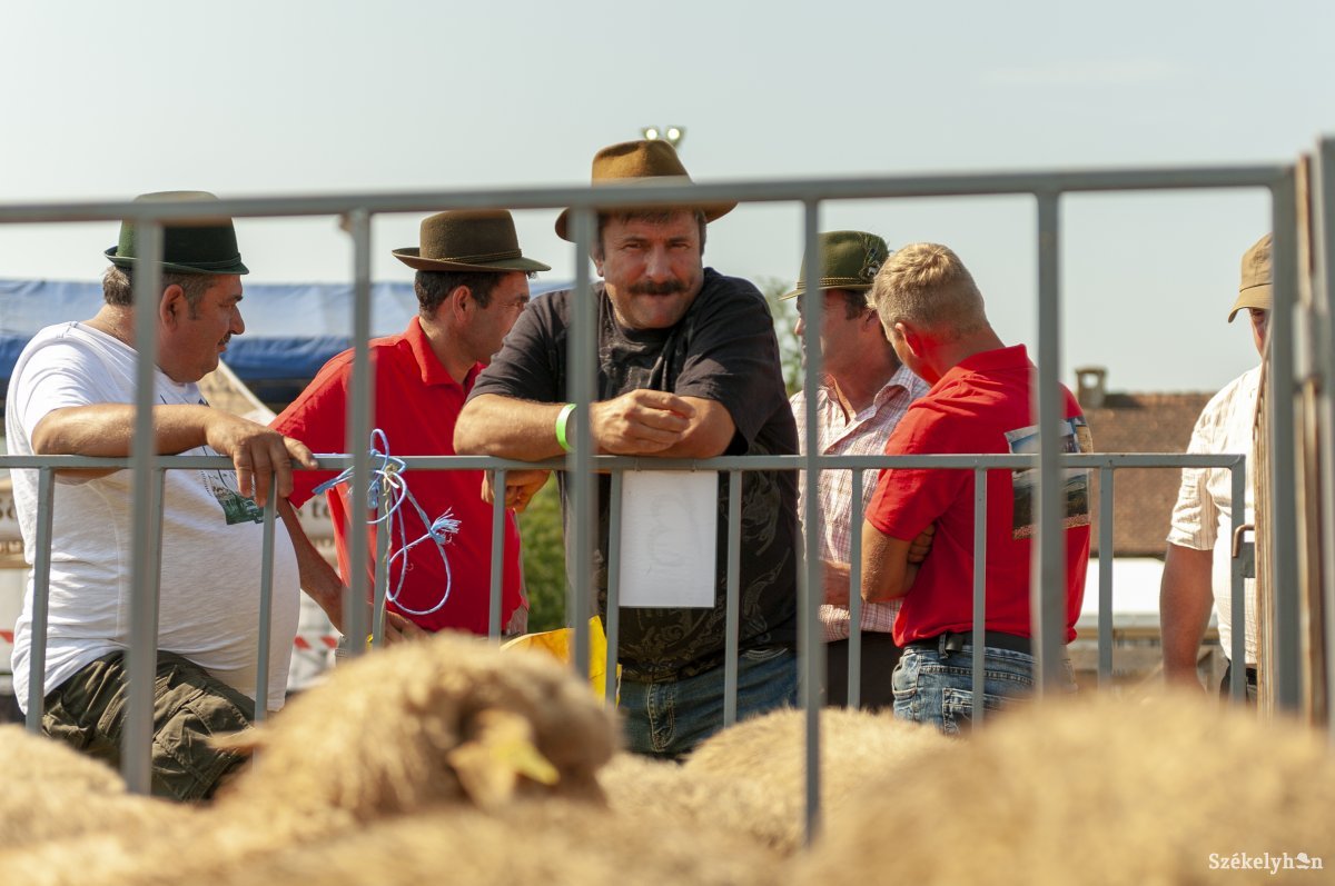 &bullet;  Fotó: Gábos Albin