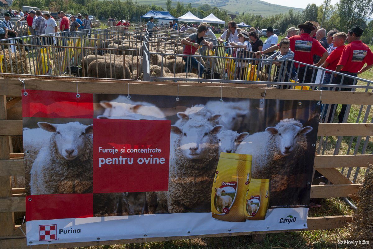 &bullet;  Fotó: Gábos Albin