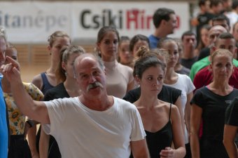 Berecz András: kibúvik belőlem a bukfencező bolond