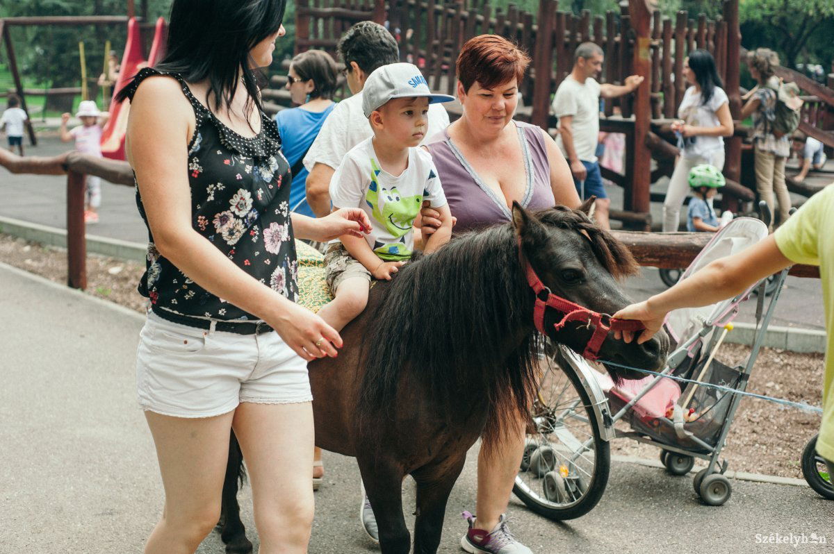&bullet;  Fotó: Gecse Noémi