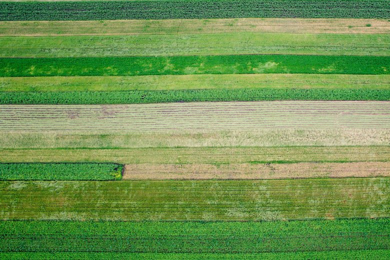 Hogyan maradjon a víz a földeken? Új megoldásokat keresnek Kézdivásárhelyen