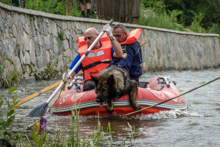 Az Olt medrében találták meg az eltűnt balánbányai kisfiú holttestét