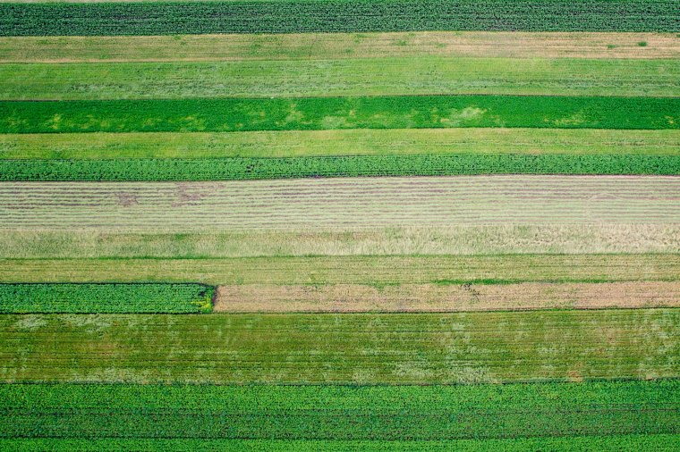 Mintegy háromezer gazda több tízezer parcelláját veszik górcső alá Hargita megyében az APIA munkatársai