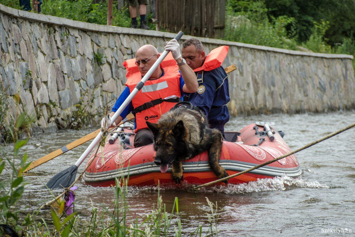 Nom, a keresőkutya és oktatója, Alin Pascu is kivette a részét a kutatásból • Fotó: Pinti Attila