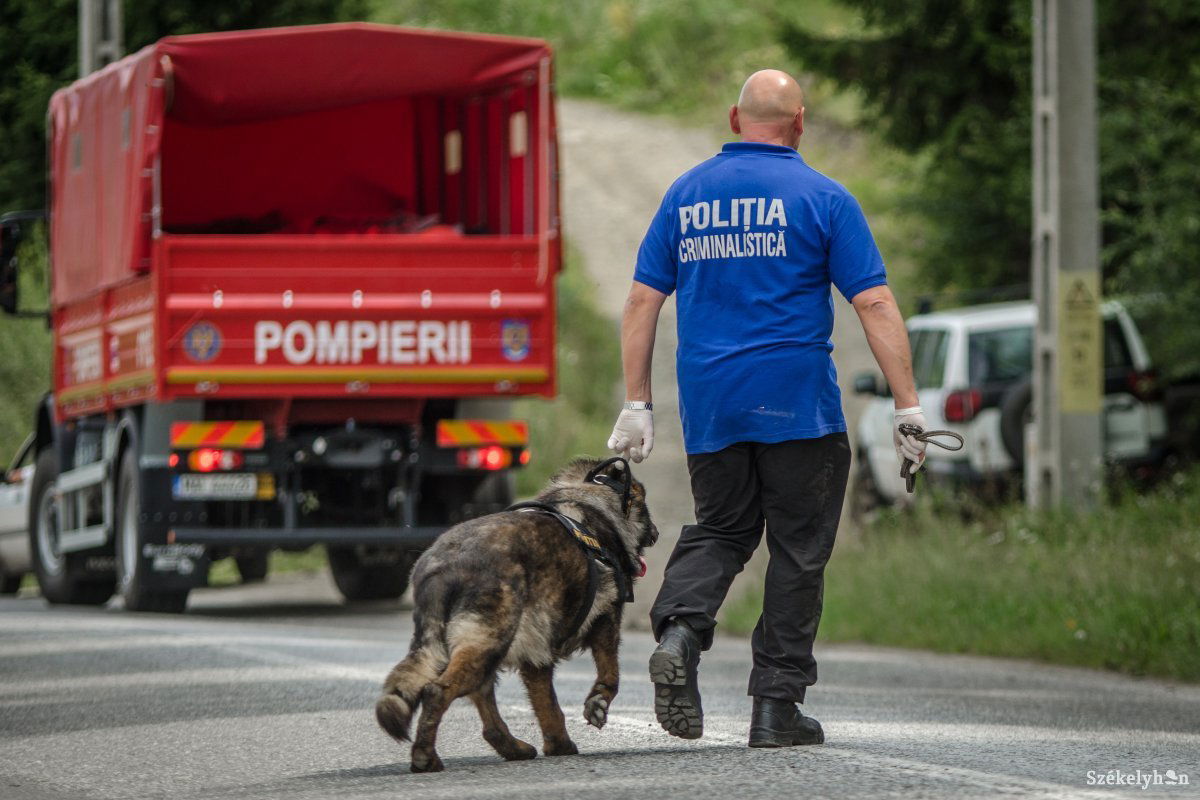 Képünk illusztráció •  Fotó: Pinti Attila