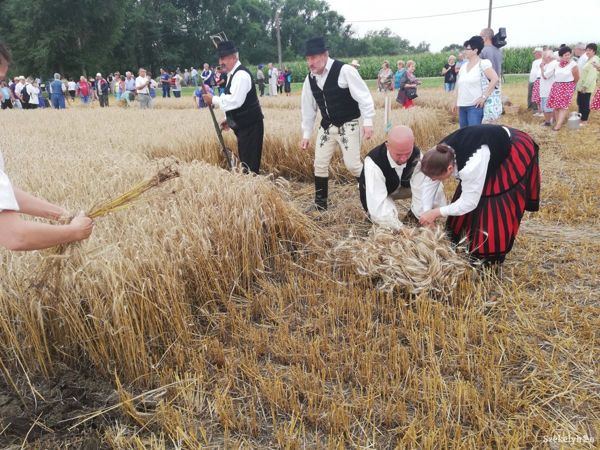 •  Fotó: Péter Beáta