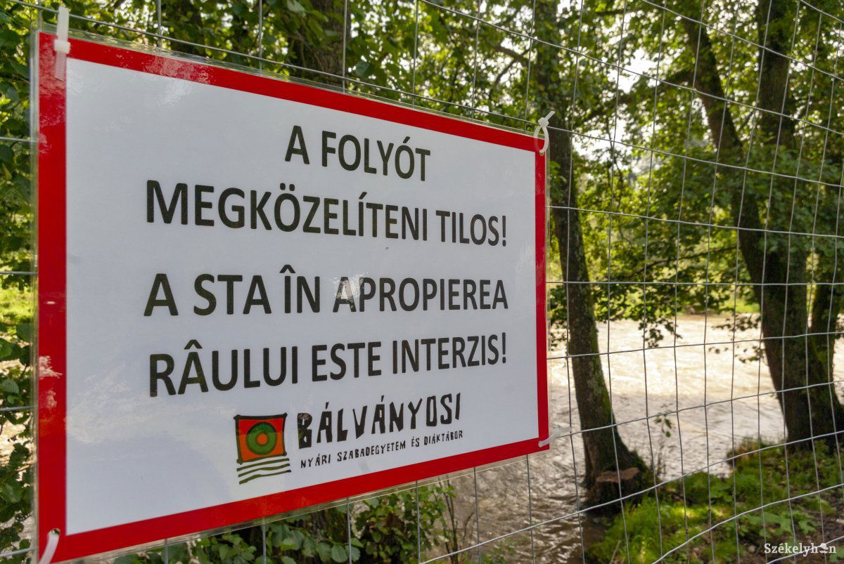 •  Fotó: Gábos Albin