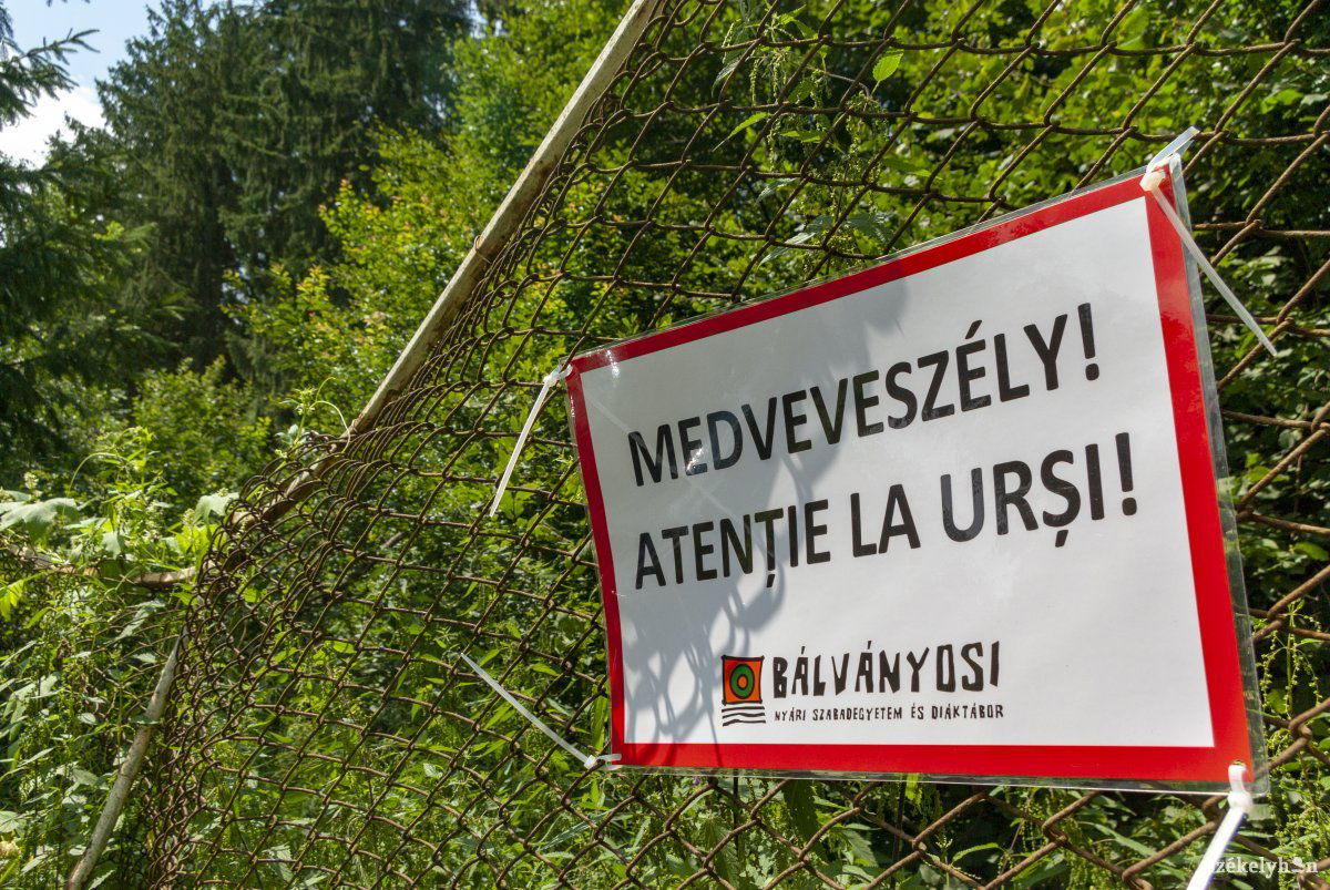 Medveveszélyre figyelmeztető tábla Tusványoson. Okkal tették ki •  Fotó: Gábos Albin