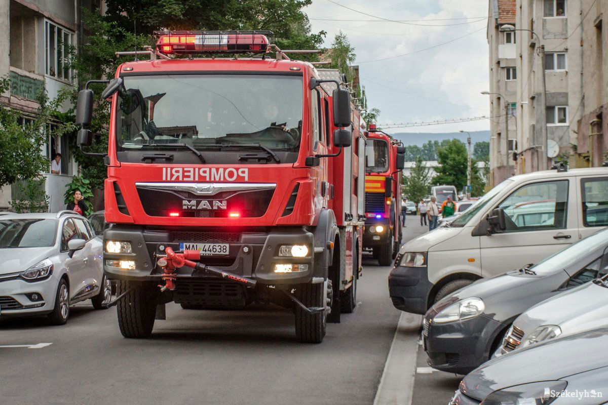 Képünk illusztráció •  Fotó: Pinti Attila