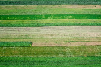 Hogyan maradjon a víz a földeken? Új megoldásokat keresnek Kézdivásárhelyen