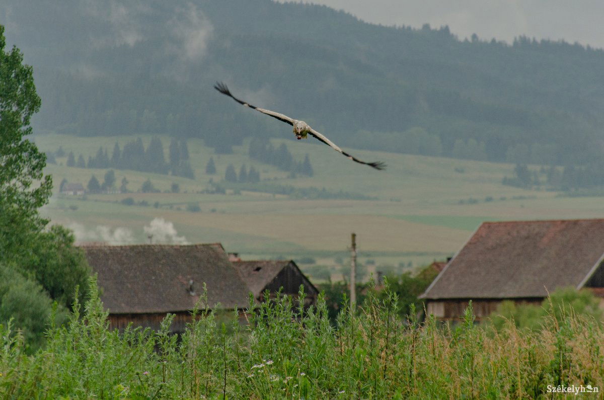 &bullet;  Fotó: Gecse Noémi
