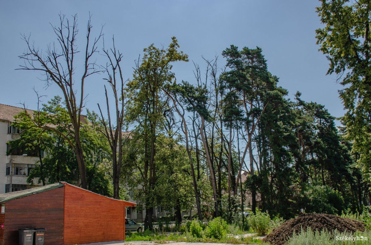 • Fotó: Gecse Noémi