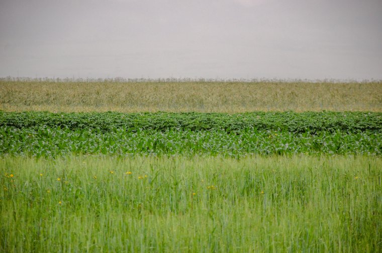 Törvénymódosítás: elismerik a mezőgazdasági zsebszerződéseket