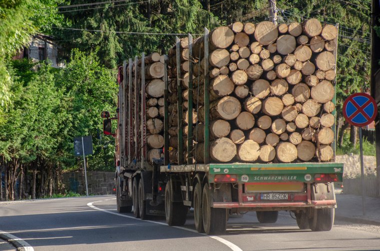 Képviselőház: tilos lesz rönkfát exportálni az Európai Unión kívülre