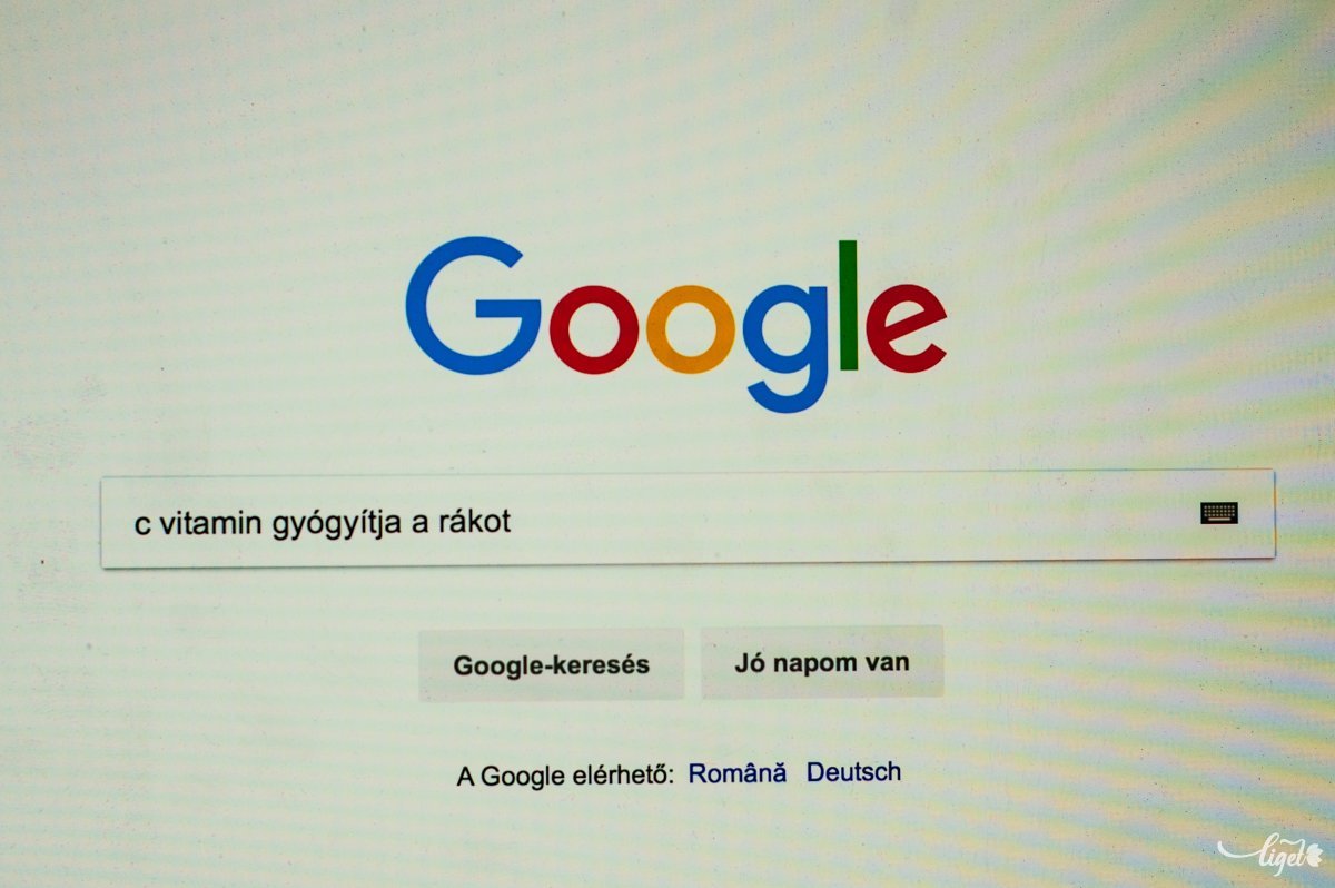 Az online tér információi nem mindig megbízhatók •  Fotó: Gecse Noémi