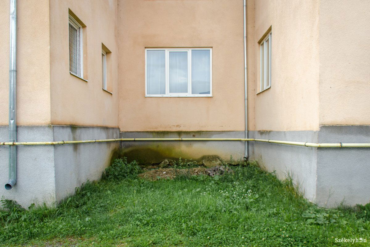 •  Fotó: Pinti Attila