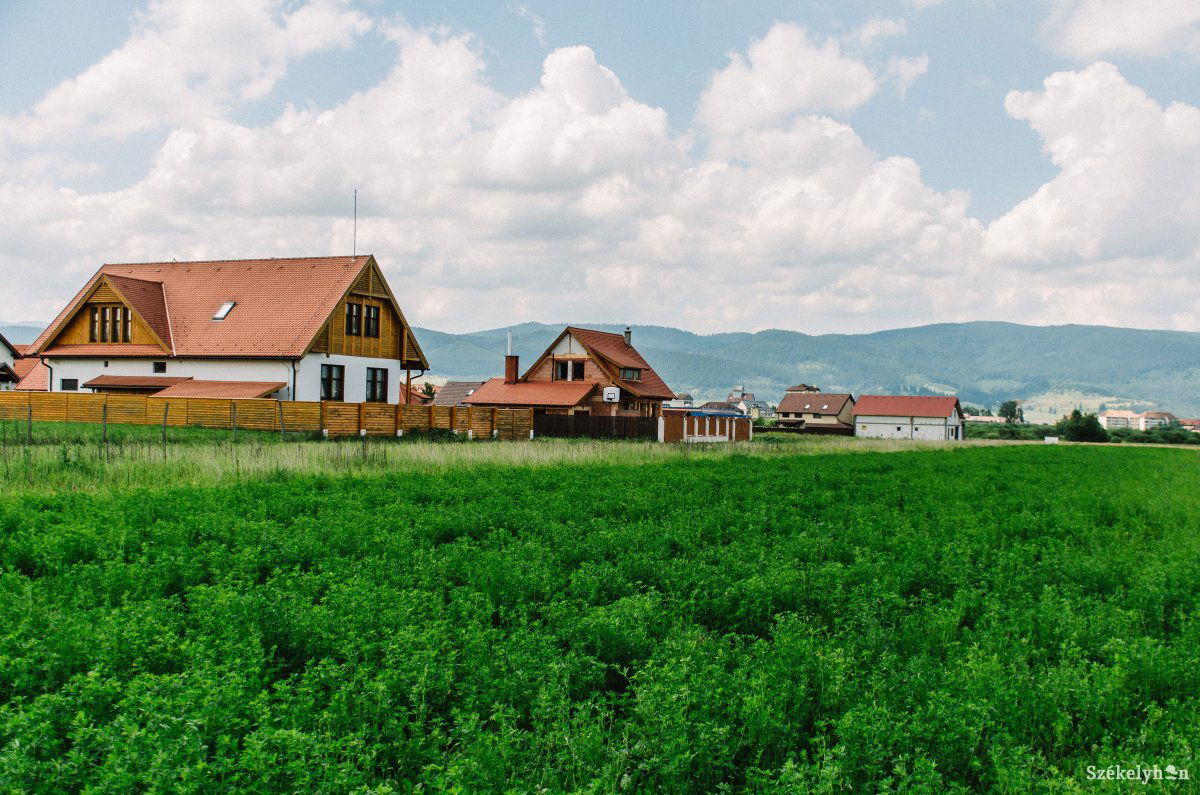 •  Fotó: Gecse Noémi