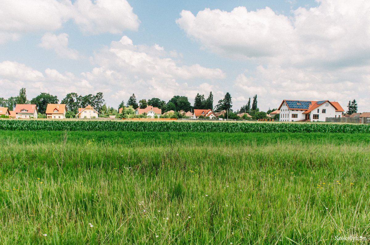 Kertes társasházakat építenének a Tanorok utcában. Még folyik az egyeztetés az övezeti rendezési tervről •  Fotó: Gecse Noémi