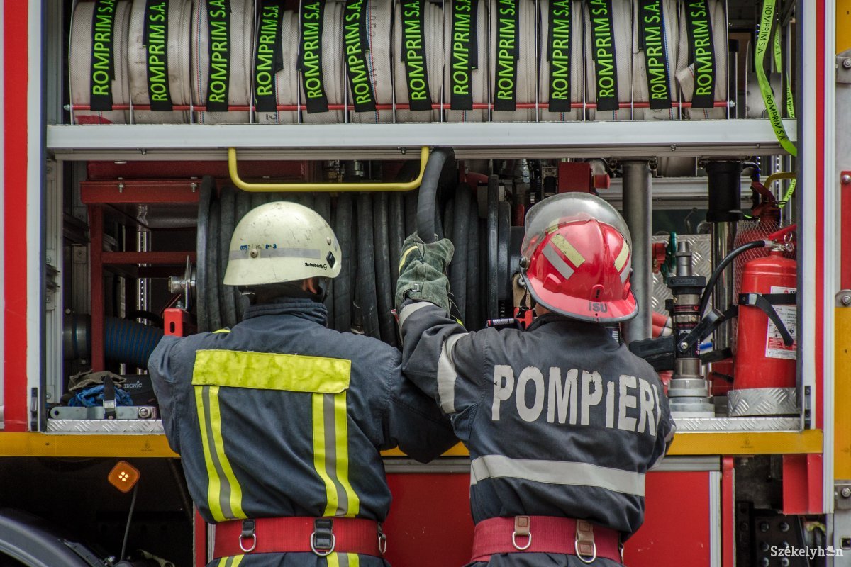 Képünk illusztráció •  Fotó: Pinti Attila