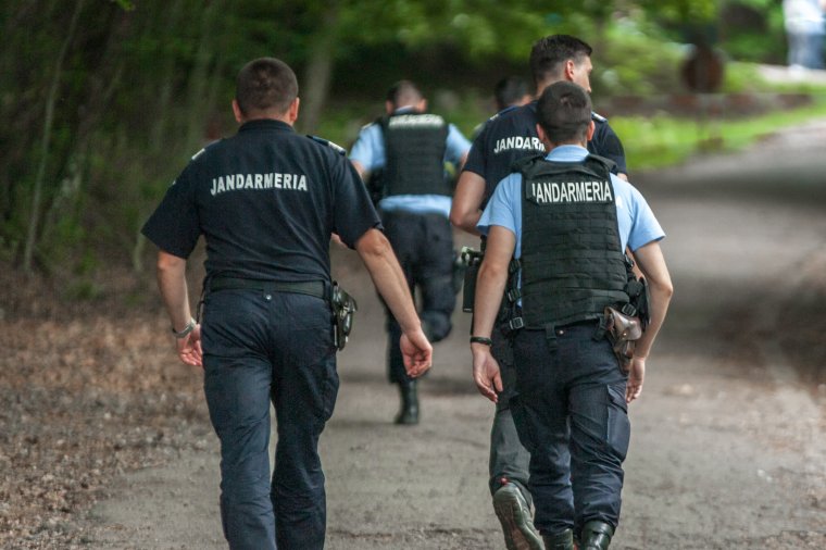 Nyári medvemunka a csendőrségnél – vaktöltényekkel, petárdákkal