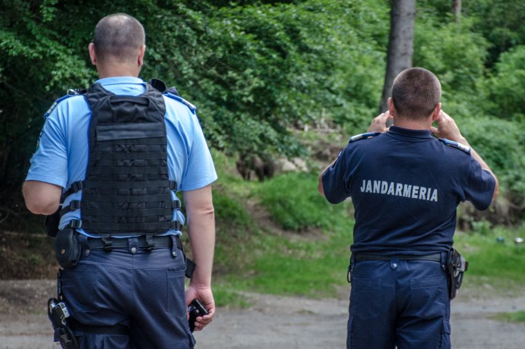 Gyerekek közeléből kergették el a medvéket