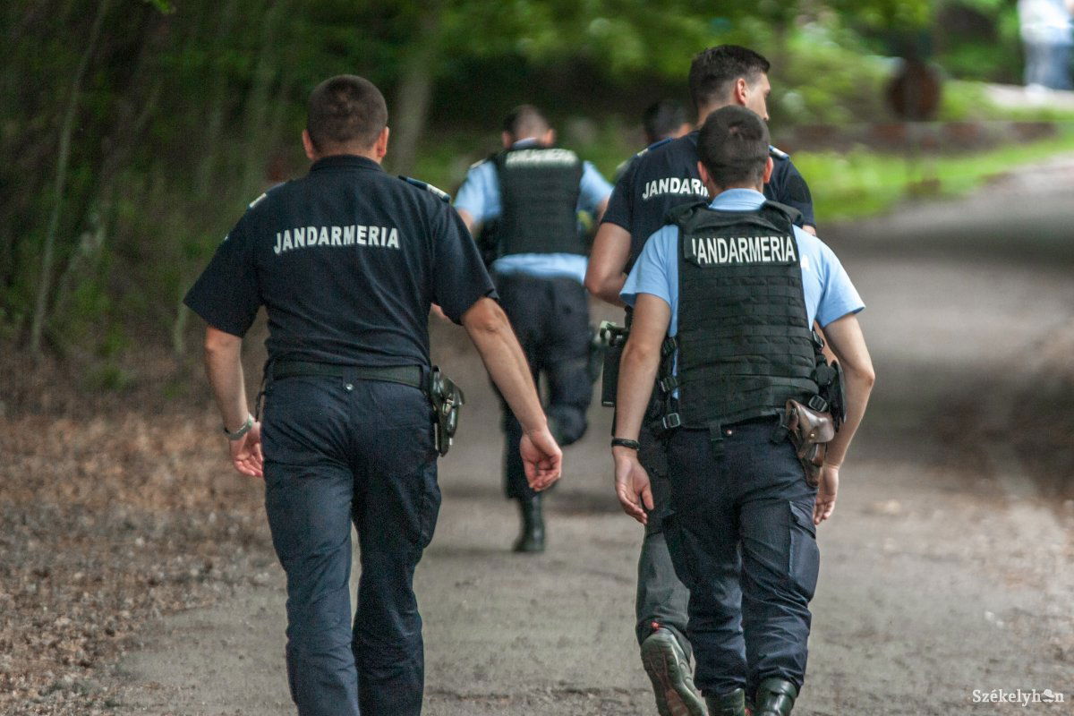 Medvéhez riasztott csendőrök. Gyakori eset Hargita megyében •  Fotó: Pinti Attila